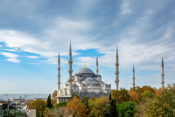 Nafasi ya nia katika Ibada