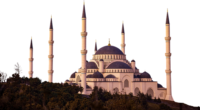 Ola Ti O Nbe Nibi Irun Kiki Ati Awon Anfaani Re